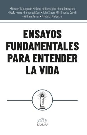 ENSAYOS FUNDAMENTALES PARA ENTENDER LA VIDA | 9786287735880