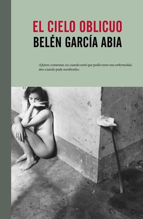 CIELO OBLICUO, EL | 9788415217930 | GARCIA ABIA, BELEN