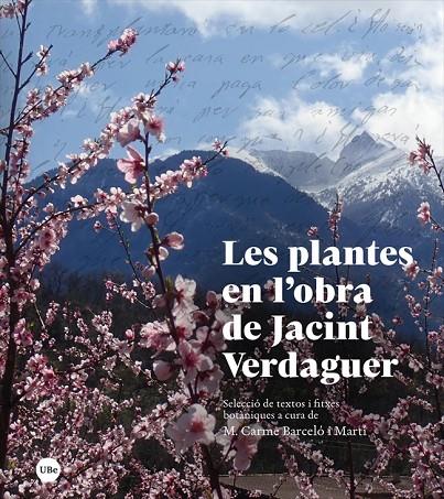 PLANTES EN L'OBRA DE JACINT VERDAGUER, LES | 9788447540792 | BARCELÓ, M. CARME