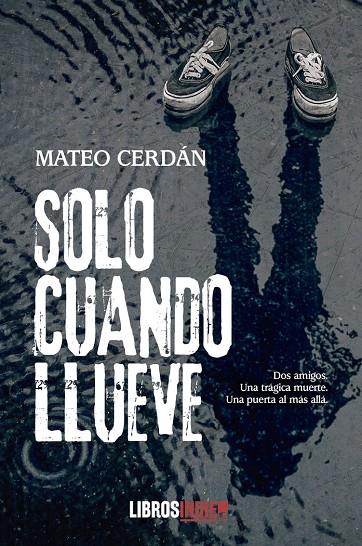 SOLO CUANDO LLUEVE | 9788419022615 | CERDÁN, MATEO
