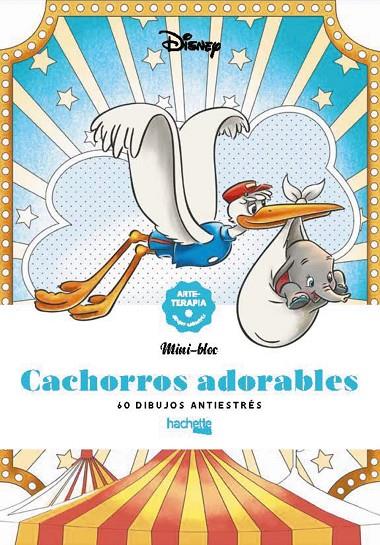 CACHORROS ADORABLES | 9788419804341 | VARIOS AUTORES