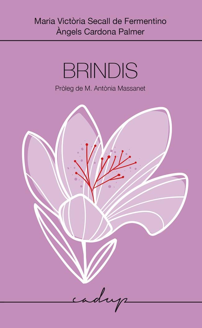 BRINDIS | 9788412991598 | SECALL, Mª VICTÒRIA / CARDONA, ÀNGELS