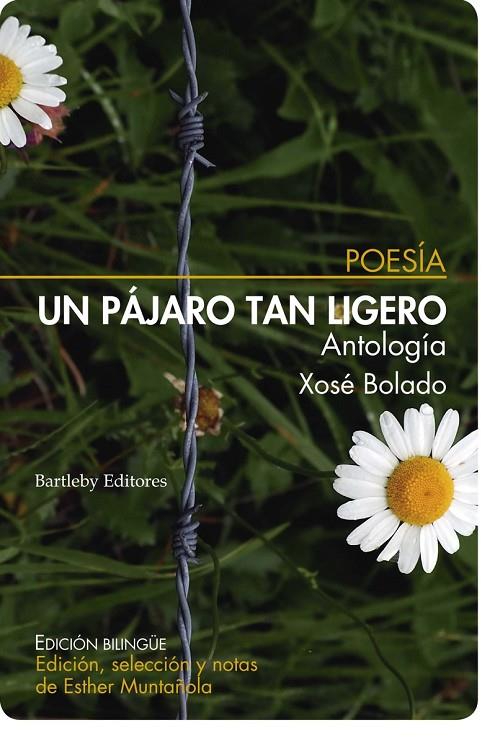 PÁJARO TAN LIGERO, UN (ANTOLOGÍA) | 9788412265071 | BOLADO, XOSE