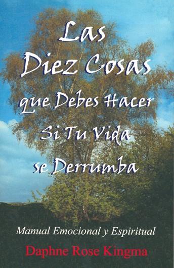 DIEZ COSAS QUE DEBES HACER SI TU VIDA SE DERRUMBA, LAS | 9788495593702 | KINGMA, DAPHNE ROSE