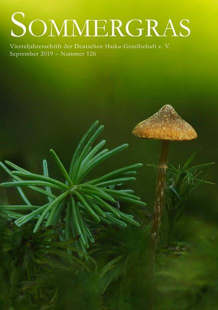 SOMMERGRAS 126 | 9783749469222