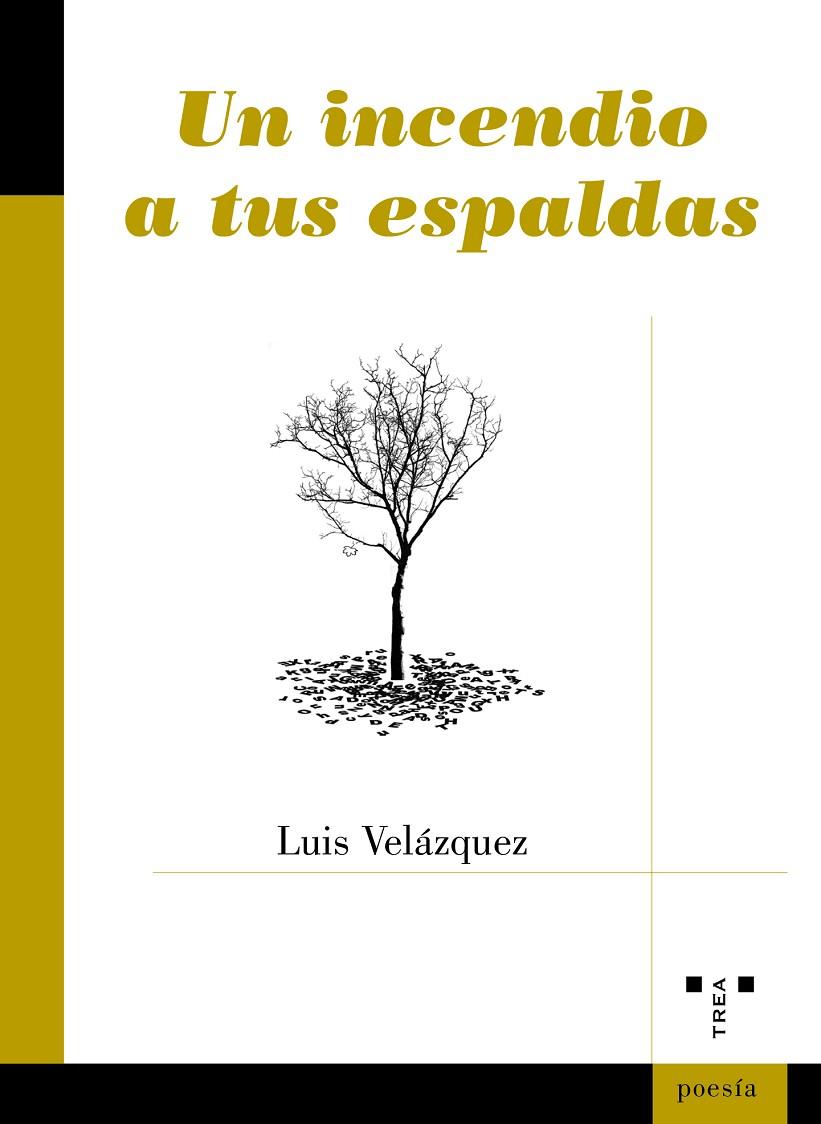 INCENDIO A TUS ESPALDAS, UN | 9788417987787 | VELÁZQUEZ BUENDIA, LUIS