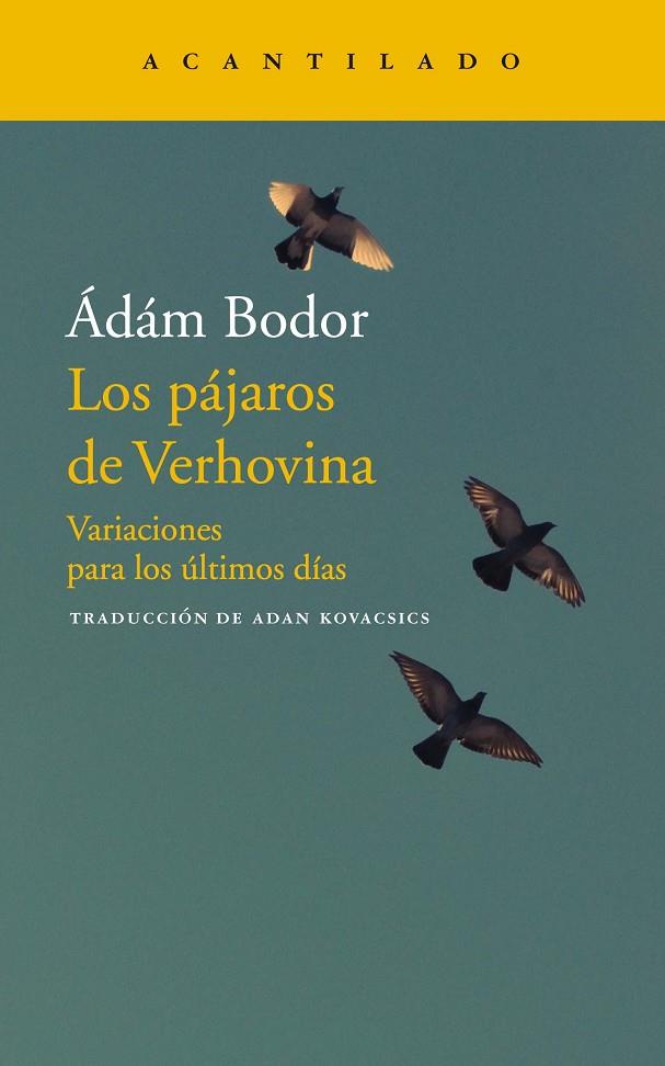 PÁJAROS DE VERHOVINA, LOS | 9788417346706 | BODOR, ADAM