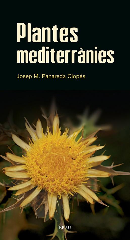 PLANTES MEDITERRÀNIES | 9788496905528 | PANAREDA CLOPÉS, JOSEP MARIA
