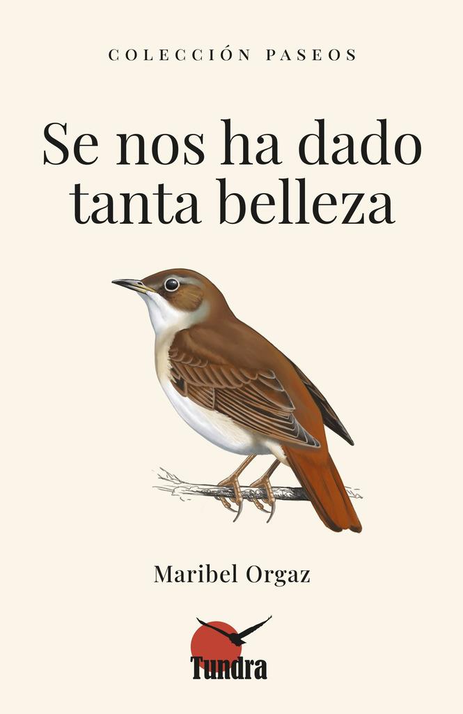 SE NOS HA DADO TANTA BELLEZA | 9788419624666 | ORGAZ, MARIBEL