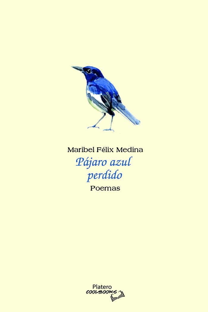 PÁJARO AZUL PERDIDO | 9788410062764 | FÉLIX MEDINA, MARIBEL