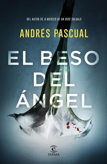 BESO DEL ÁNGEL, EL | 9788467057751 | PASCUAL, ANDRÉS
