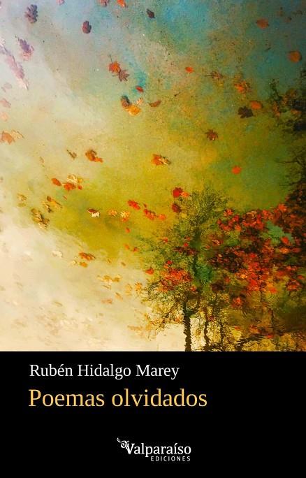 POEMAS OLVIDADOS | 9791388356063 | HIDALGO MAREY, RUBEN
