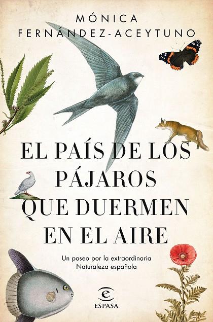 PAÍS DE LOS PÁJAROS QUE DUERMEN EN EL AIRE, EL | 9788467051469 | FERNÁNDEZ-ACEYTUNO SAÉNZ DE SANTA MARÍA, MÓNICA
