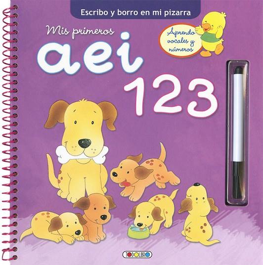 ESCRIBO Y BORRO EN MI PIZARRA | 9788490377154