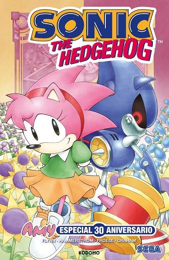 SONIC THE HEDGEHOG : AMY ESPECIAL 30 ANIVERSARIO | 9788410134867 | FLYNN, IAN