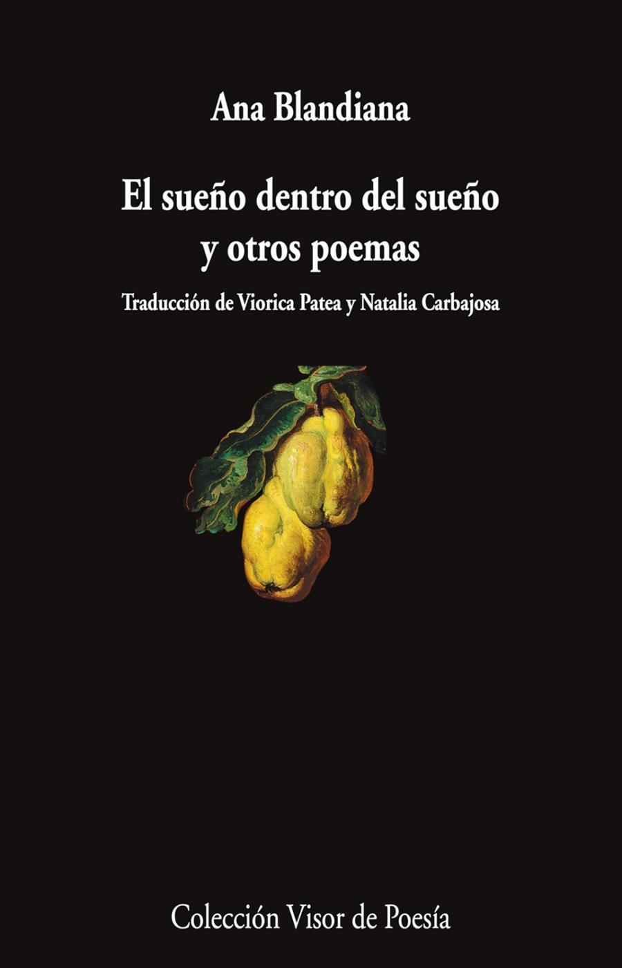 SUEÑO DENTRO DEL SUEÑO Y OTROS POEMAS, EL | 9788498955132 | BLANDIANA, ANA