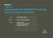TOMO XIII ESQUEMAS DE DERECHO SOCIAL DE LA UNIÓN EUROPEA | 9788498766769 | JESÚS R. MERCADER UGUINA/FRANCISCO JAVIER GOMEZ ABELLEIRA/DAVID DÍAZ ZAFORAS/Mª DOLORES VALDUEZA BLA