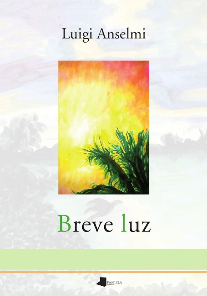 BREVE LUZ | 9788491724742 | ANSELMI, LUIGI