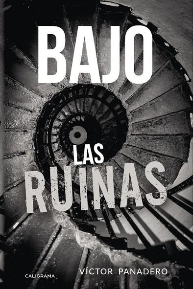 BAJO LAS RUINAS | 9788417447489 | PANADERO, VÍCTOR