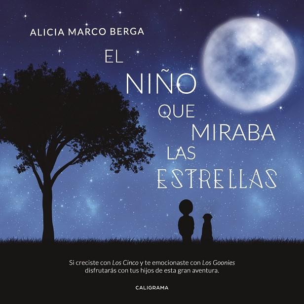 NIÑO QUE MIRABA LAS ESTRELLAS, EL | 9788417234423 | MARCO BERGA, ALICIA