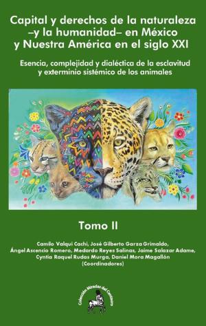 CAPITAL Y DERECHOS DE LA NATURALEZA –Y LA HUMANIDAD– EN MÉXICO Y NUESTRA AMÉRICA EN EL SIGLO XXI | 9786078559954 | VALQUI CACHI, CAMILO