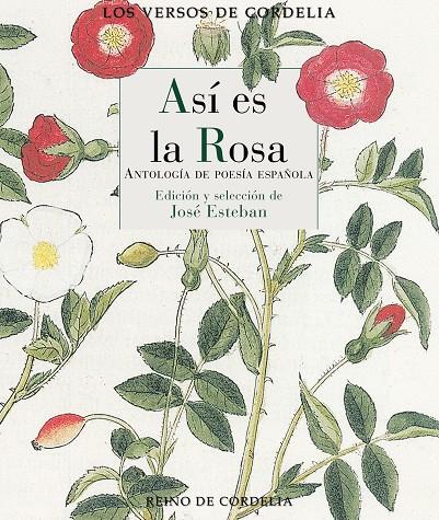 ASÍ ES LA ROSA | 9791387599119 | ESTEBAN, JOSE