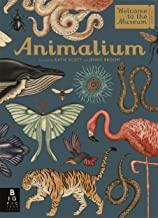 ANIMALIUM | 9781787411647 | SCOTT / BROOM