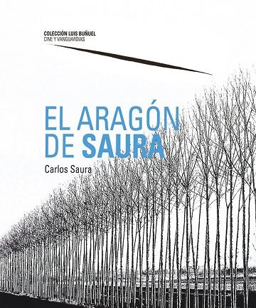ARAGÓN DE SAURA, EL | 9788417633042 | SAURA ATARÉS, CARLOS
