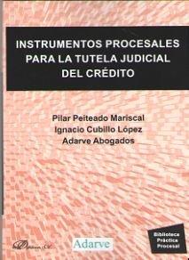 INSTRUMENTOS PROCESALES PARA LA TUTELA JUDICIAL DEL CRÉDITO | 9788491485889 | CUBILLO LÓPEZ, IGNACIO