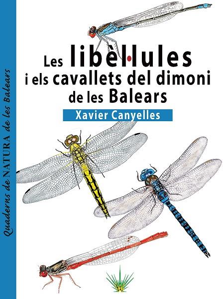 LIBÈL·LULES I ELS CAVALLETS DEL DIMONI DE LES BALEARS, LES | 9788419956569 | CANYELLES FERRÀ, XAVIER