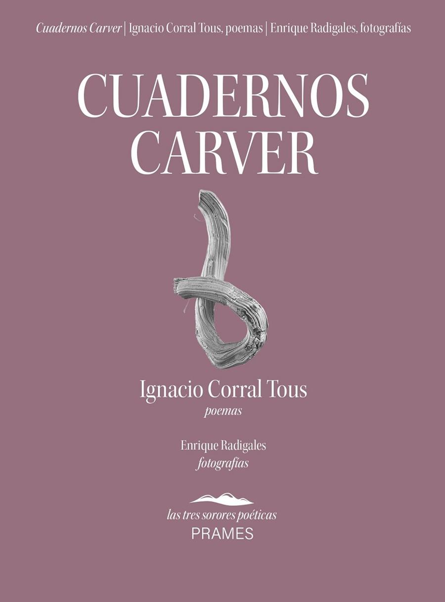 CUADERNOS CARVER | 9788496793859 | CORRAL TOUS, IGNACIO