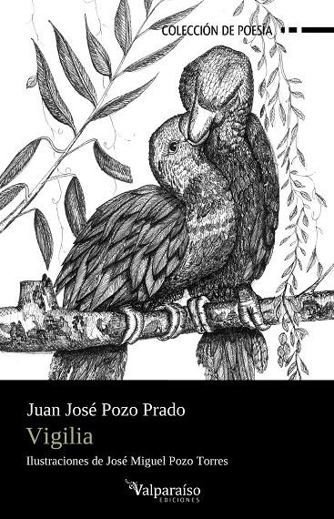 VIGILIA | 9788410073760 | POZO PRADO, JUAN JOSE