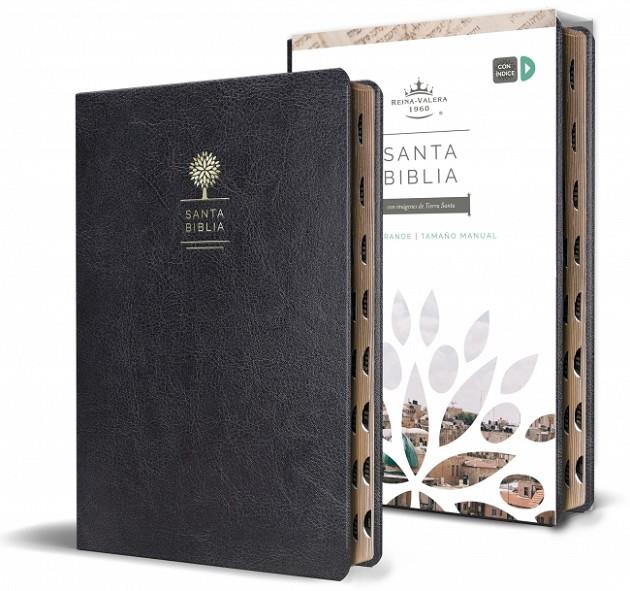 BIBLIA REINA VALERA 1960 LETRA GRANDE. SÍMIL PIEL NEGRO | 9781644732168 | REINA VALERA REVISADA
