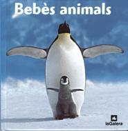 BEBES ANIMALS | 9788424624972 | FOTOGRAFIA