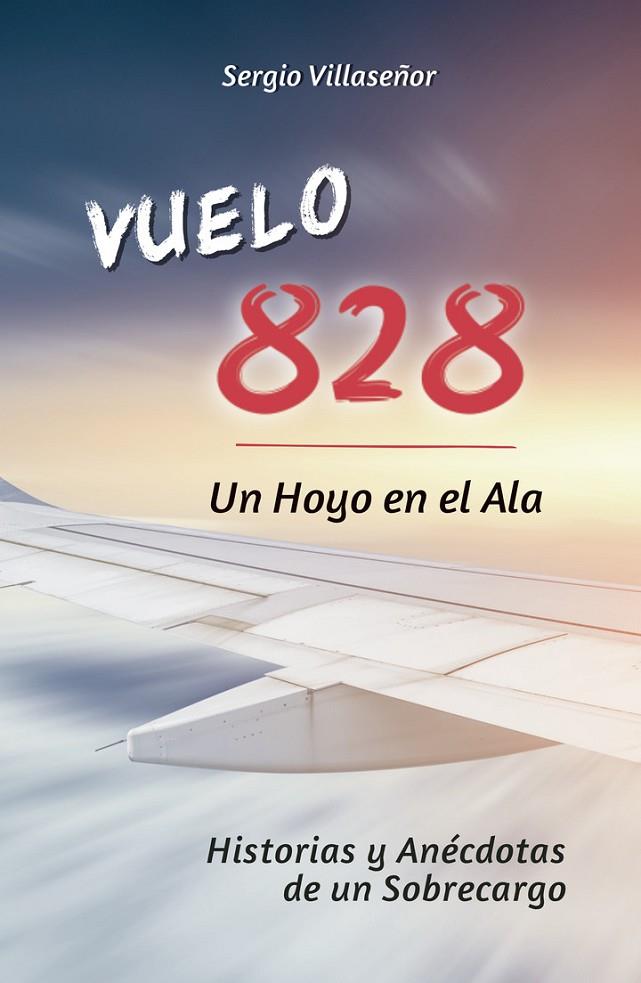 VUELO 828 - UN HOYO EN EL ALA | 3456590284578 | VILLASEÑOR CERDA, SERGIO