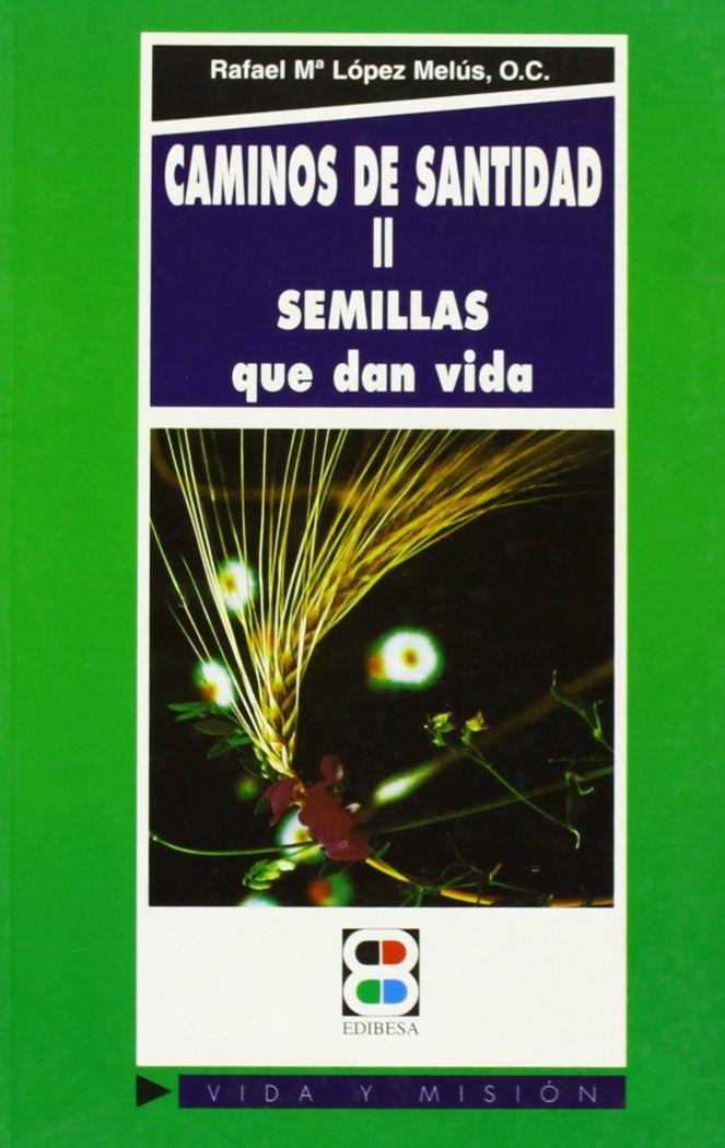 CAMINOS DE SANTIDAD II | 9788484072171 | LÓPEZ MELÚS, JUSTO