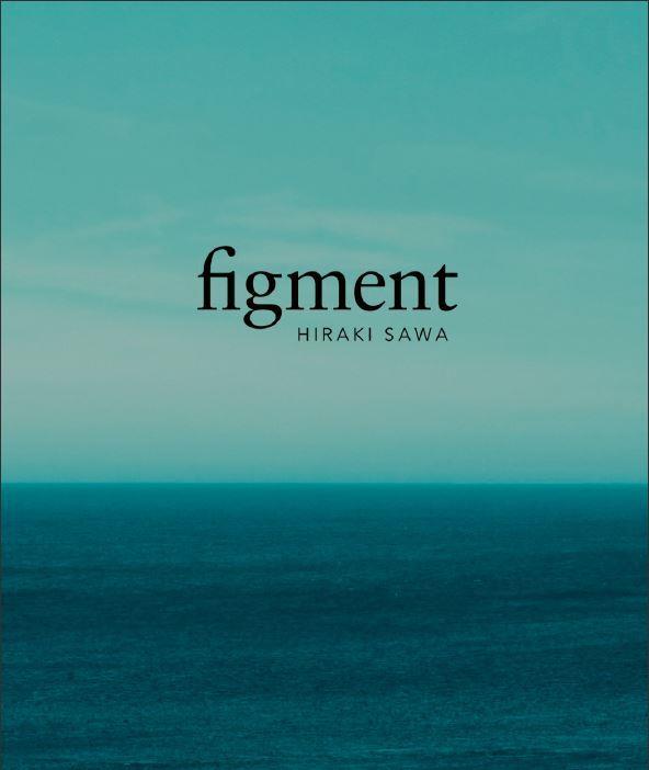 FIGMENT | 9788480816717