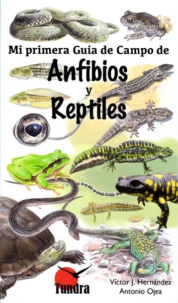 MI PRIMER GUÍA DE CAMPO DE ANFIBIOS Y REPTILES | 9788416702428 | HERNANDEZ, VICTOR J.