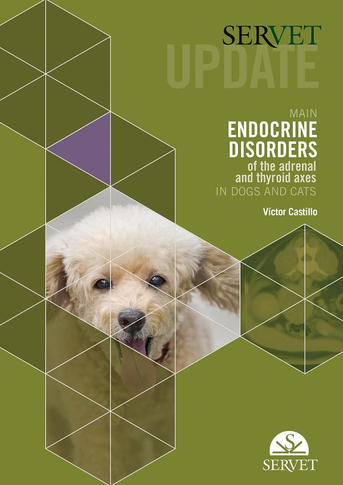 SERVET UPDATE MAIN ENDOCRINE DISORDERS OF THE ADRENAL AND THYROID AXES | 9788417225384 | CASTILLO, VICTOR
