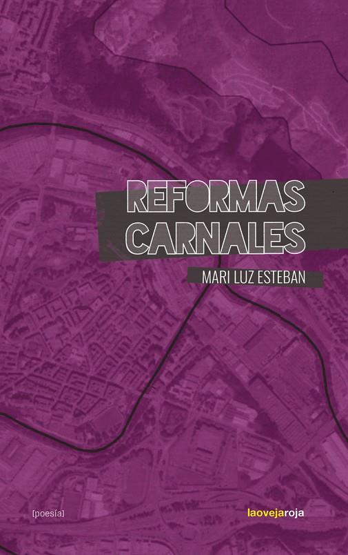REFORMAS CARNALES | 9788416227846 | ESTEBAN, MARI LUZ