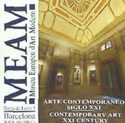 MEAM ARTE CONTEMPORANEO DEL SIGLO XXI | 9788461520046