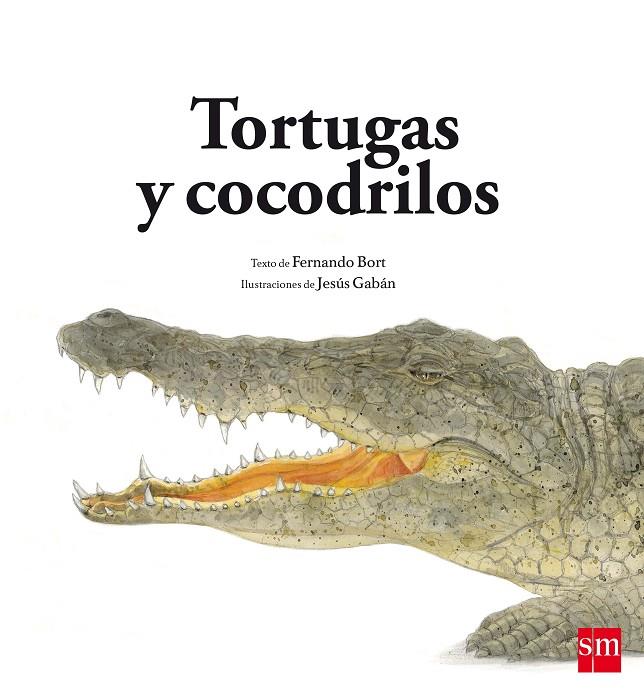 TORTUGAS Y COCODRILOS | 9788467582567 | BORT MISOL, FERNANDO