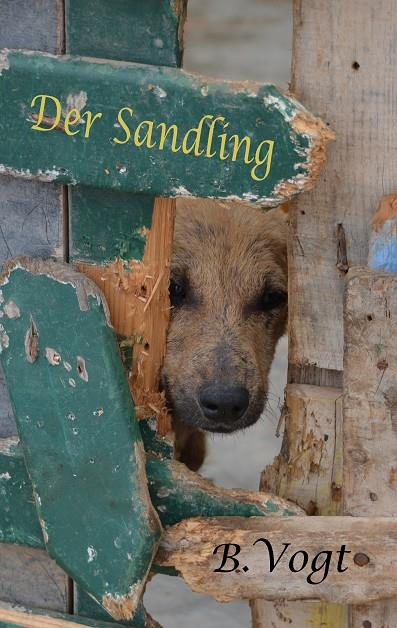 DER SANDLING | 9783749498796 | VOGT, BENJAMIN