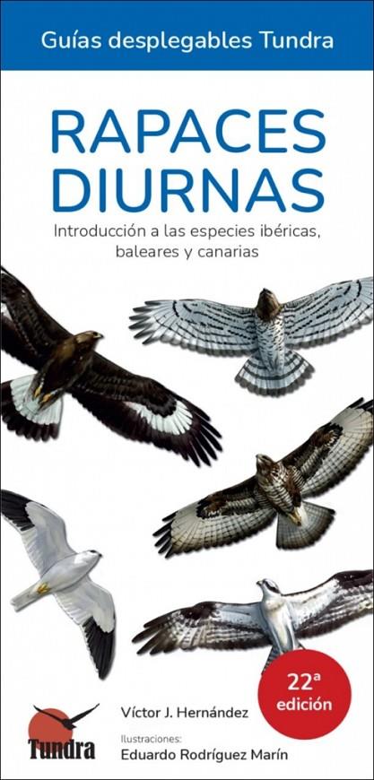 RAPACES DIURNAS. INTRODUCCIÓN A LAS ESPECIES IBERICAS, BALEARES Y CANARIAS | 9791387759377 | HERNANDEZ, VICTOR J.