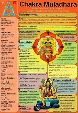 LÁMINAS DIDÁCTICAS - CHAKRA MULADHARA | 8436005169930