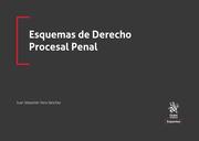 ESQUEMAS DE DERECHO PROCESAL PENAL | 9788413786957 | VERA SÁNCHEZ, JUAN SEBASTIÁN
