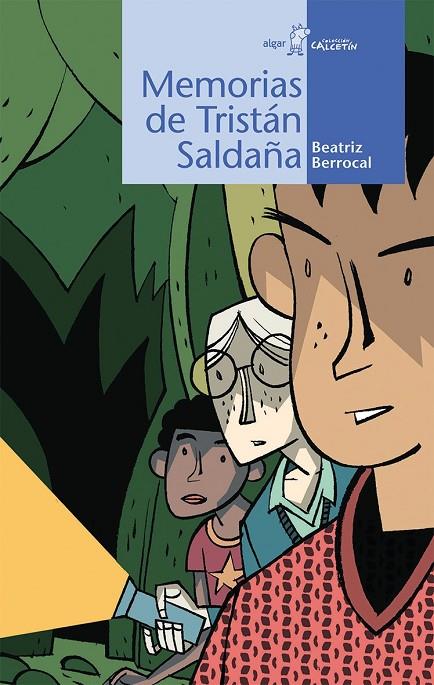 MEMORIAS DE TRISTÁN SALDAÑA | 9788498458992 | BERROCAL PÉREZ, BEATRIZ