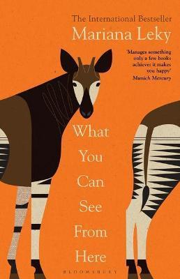 WHAT YOU CAN SEE FROM HERE | 9781526638540 | LEWIS, TESS