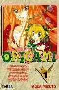 ORIGAMI 01 | 9788492449897 | MIZUTO, AQUA