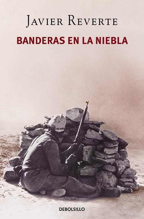 BANDERAS EN LA NIEBLA | 9788466343848 | REVERTE, JAVIER